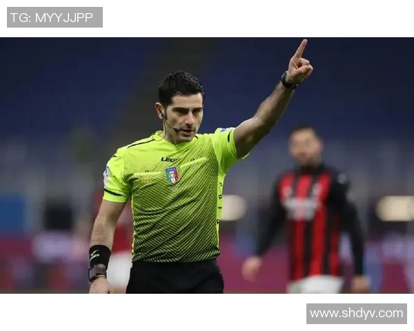 对话羽毛球名将杨敏回顾辉煌生涯与未来展望