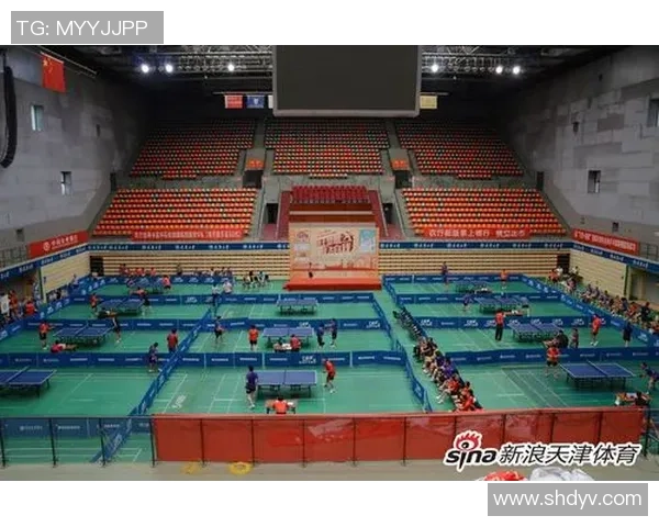 南京乒乓球队在联赛中的实力展现与未来发展潜力分析