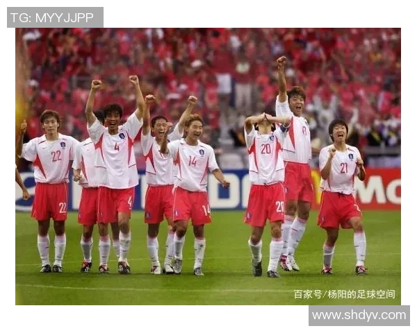 韩国暴力足球明星背后的故事与争议解析