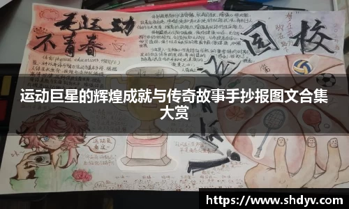 333体育官网
