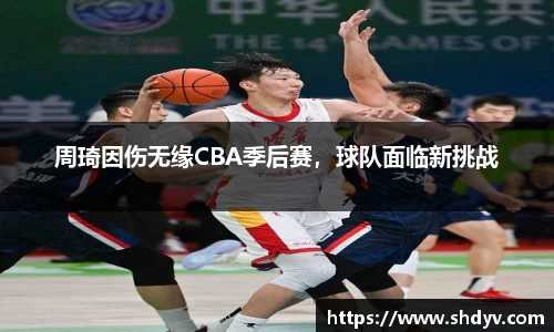 周琦因伤无缘CBA季后赛，球队面临新挑战