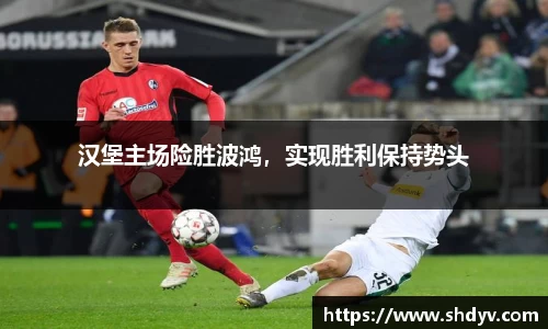汉堡主场险胜波鸿，实现胜利保持势头