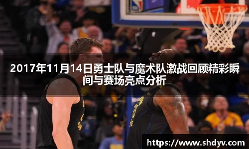333体育官网