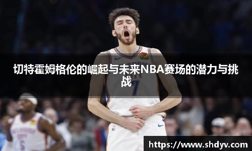 333体育