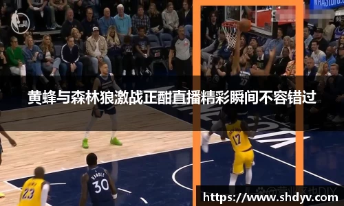 333体育官网