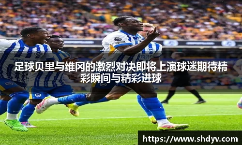 333体育官网