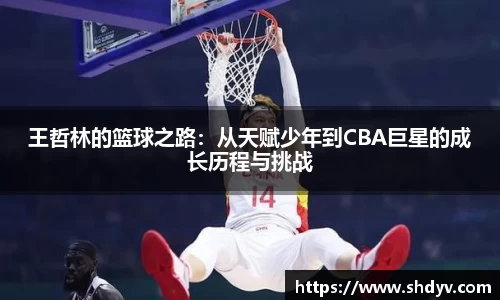 333体育