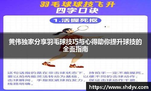333体育官网