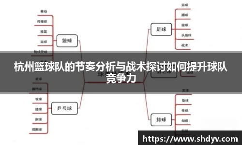 333体育